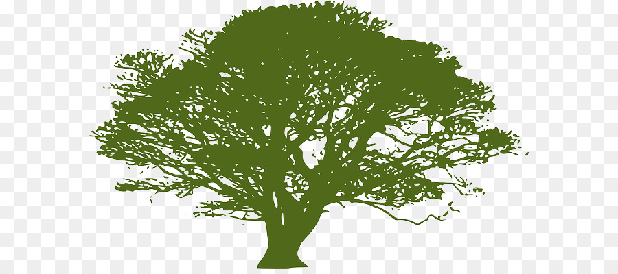 árbol，Silueta PNG