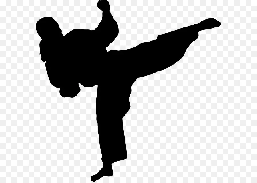 Patada De Kárate，Artes Marciales PNG