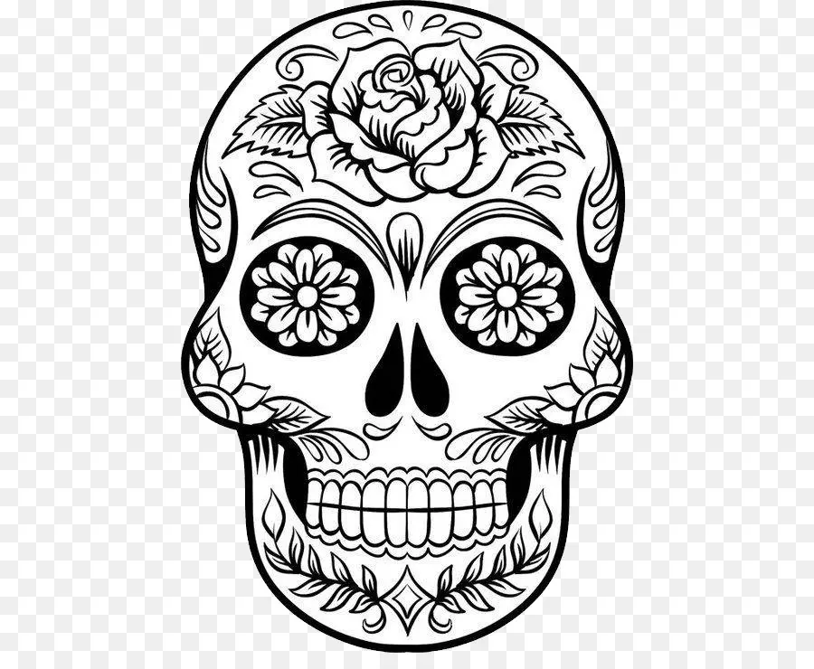 Calavera，Dibujo PNG