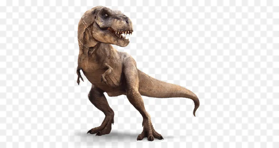 Rex，Dinosaurio PNG