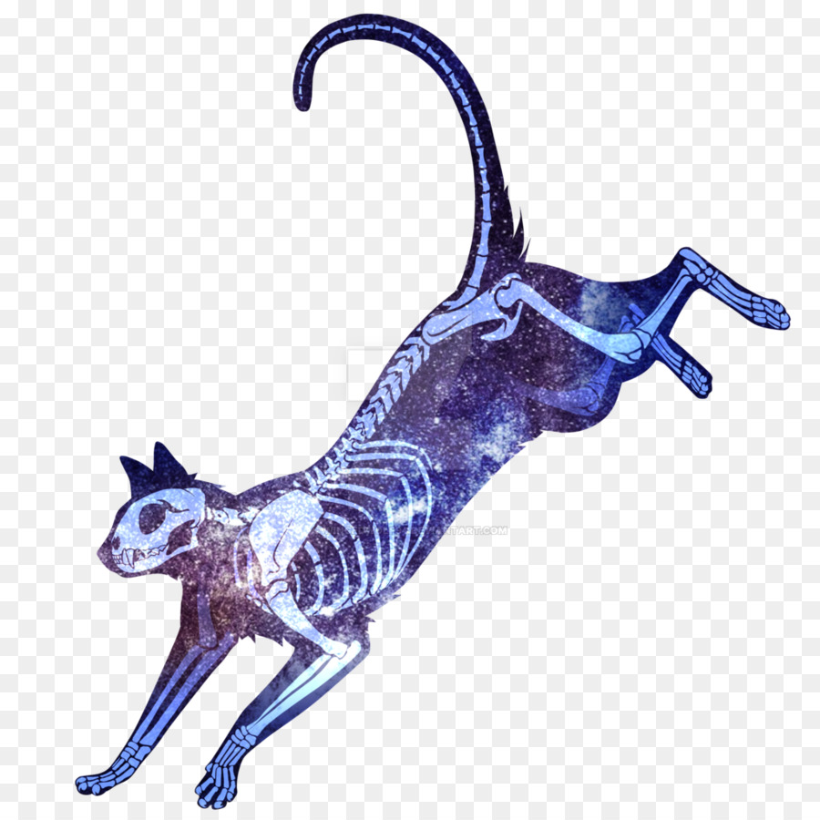 Gato，Camiseta PNG