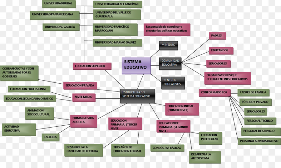 Diagrama Del Sistema Educativo，Educación PNG