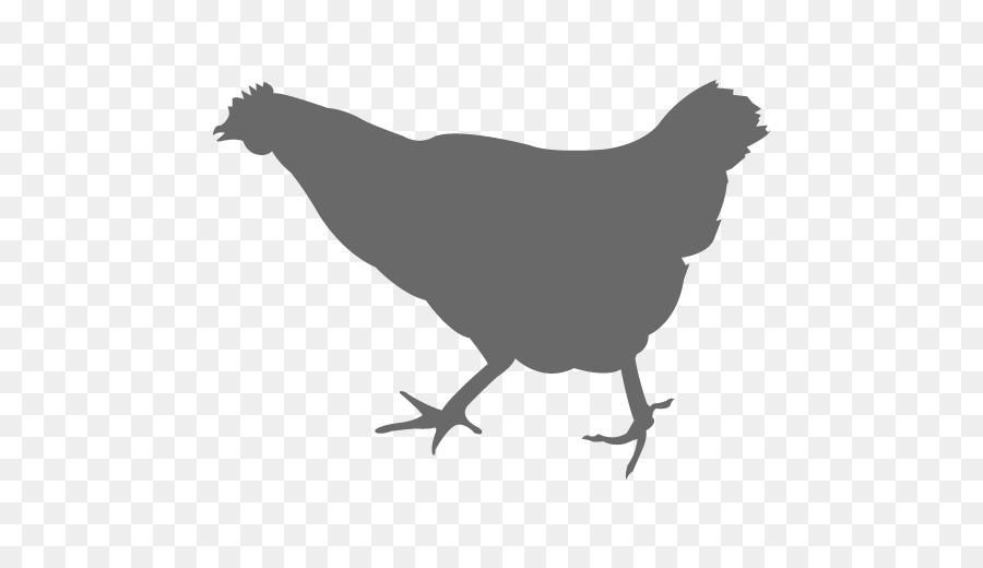 Pollo，Silueta PNG