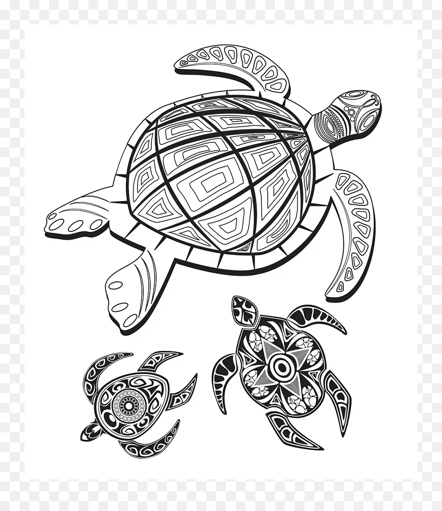 Tortuga，Dibujo PNG