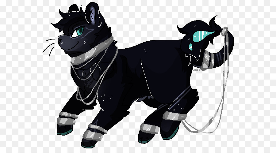 Gato，Caballo PNG