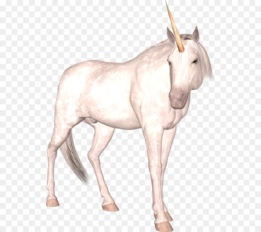 Mula，Unicornio PNG