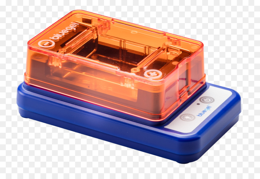 Reacción En Cadena De La Polimerasa，Electroforesis PNG