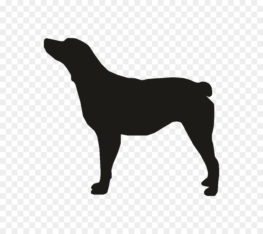 Contorno Del Perro，Mascota PNG