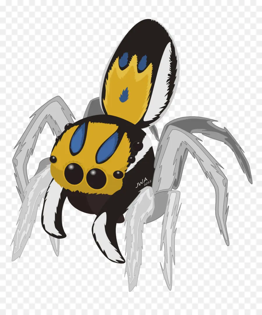 Araña De Dibujos Animados，Insecto PNG