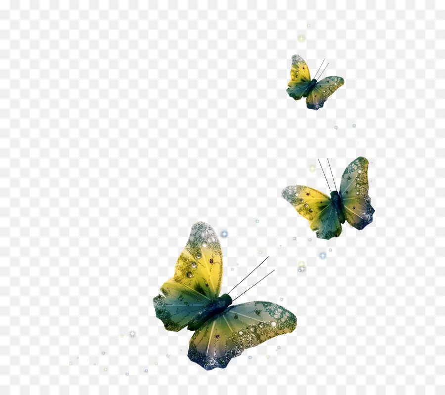 Mariposas，Naturaleza PNG