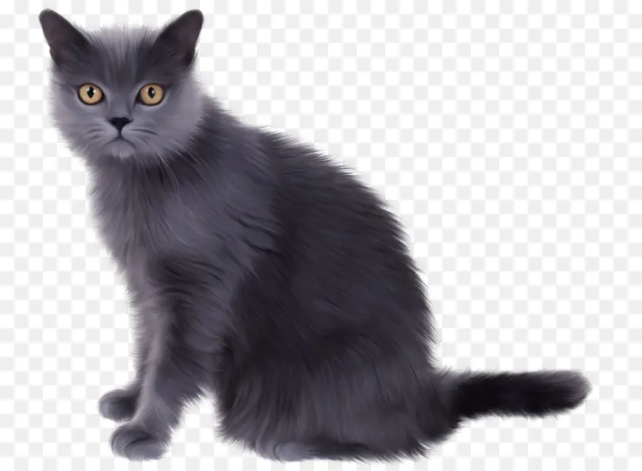 Gato，Mascota PNG