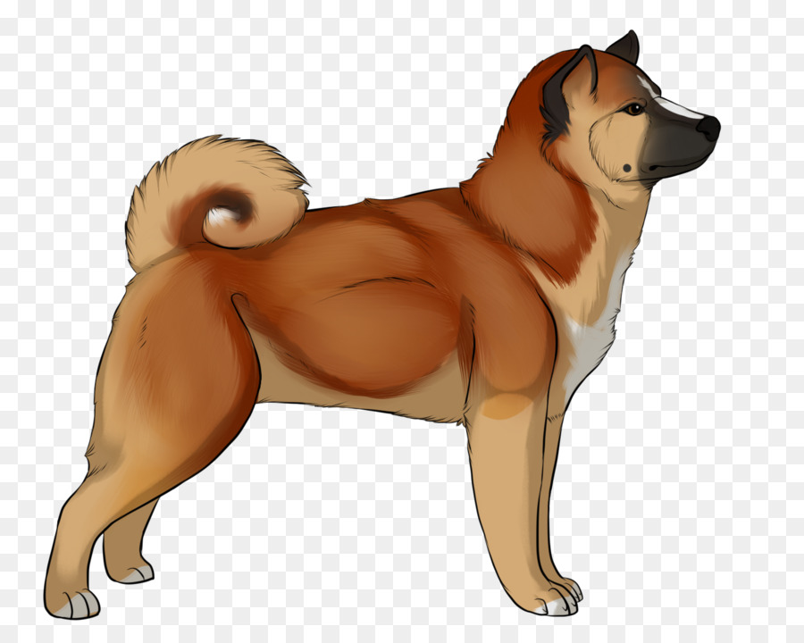 Perro，Shiba Inu PNG