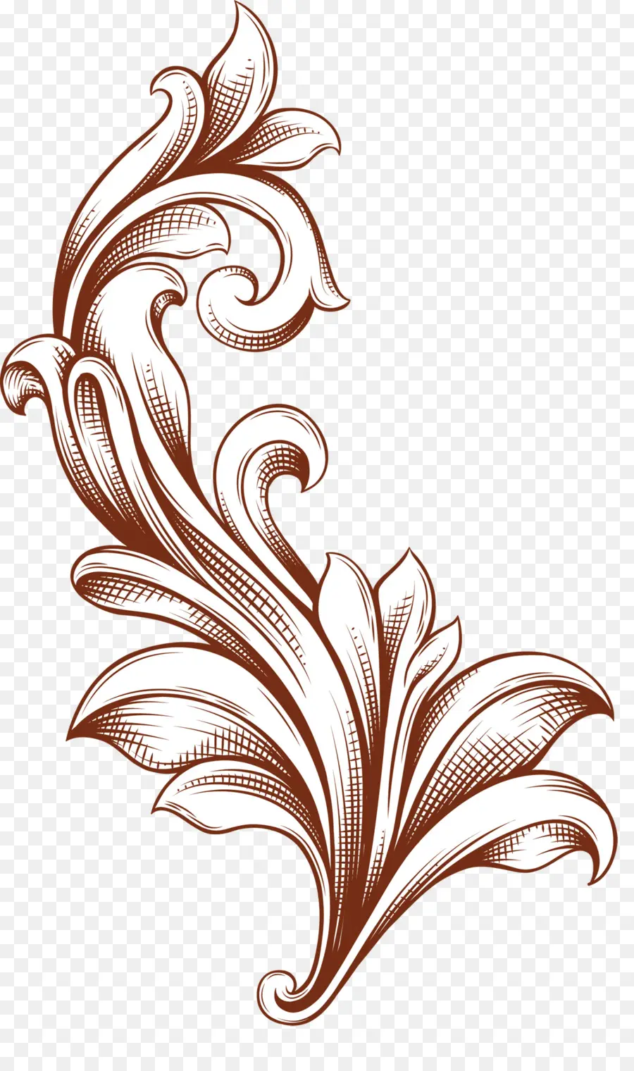 Patrón Floral，Flor PNG