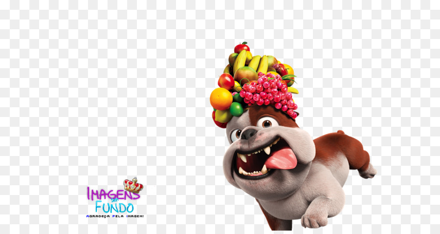 Perro Con Sombrero De Frutas，Perro PNG