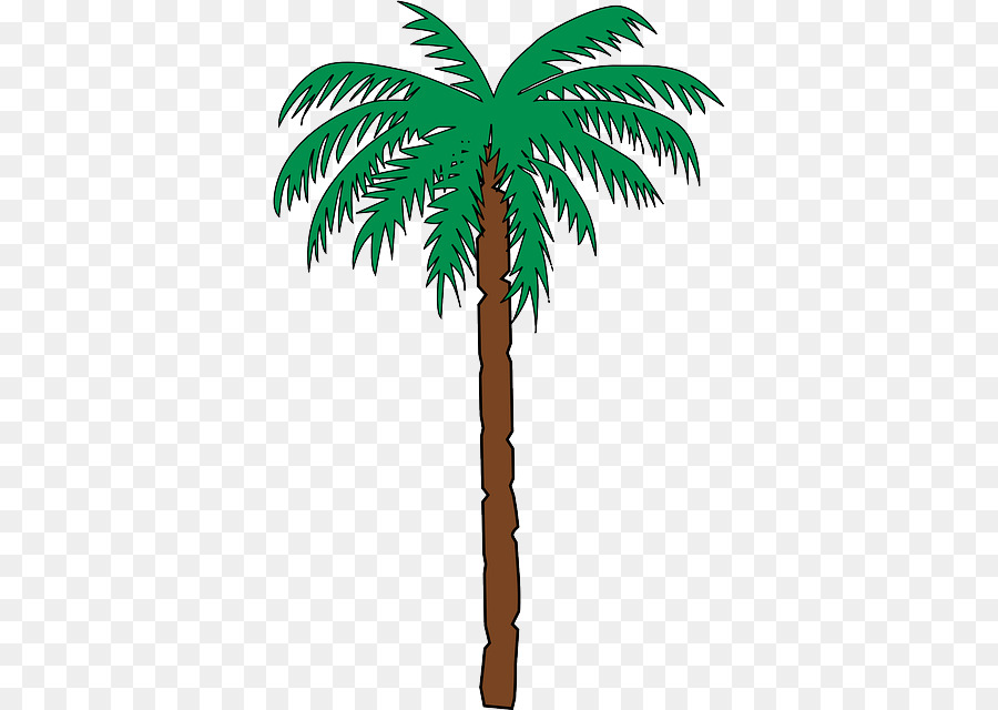 Palmeras，árbol PNG