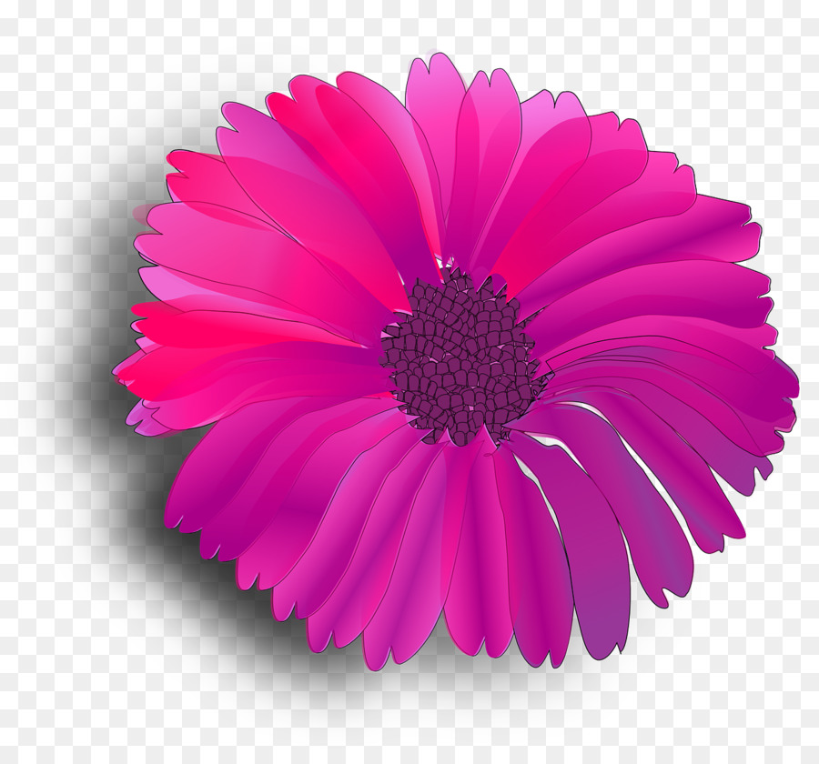 Fucsia，Flor PNG