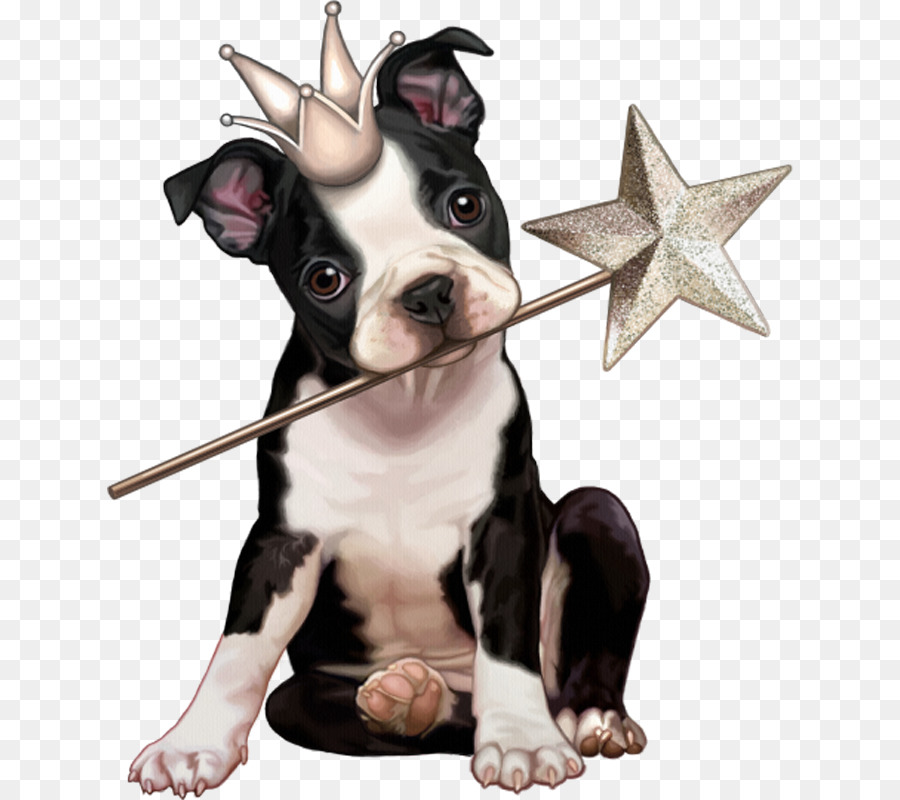 Cachorro Con Corona，Cachorro PNG