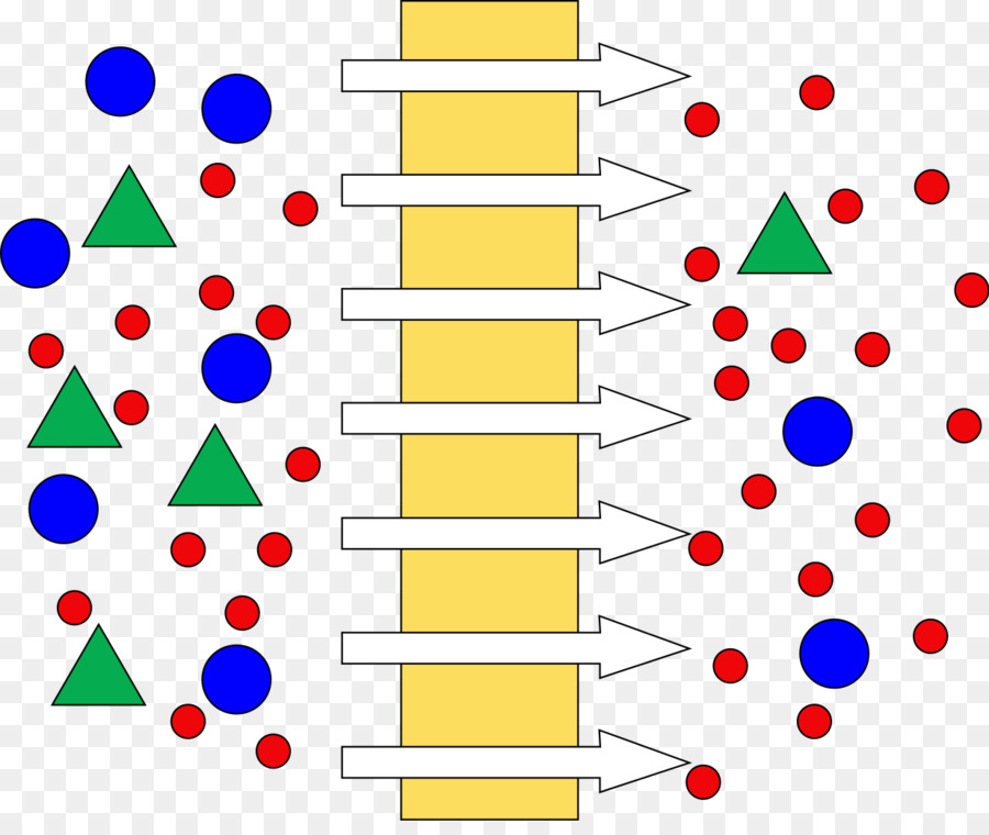 Membrana，Deadendfiltration PNG