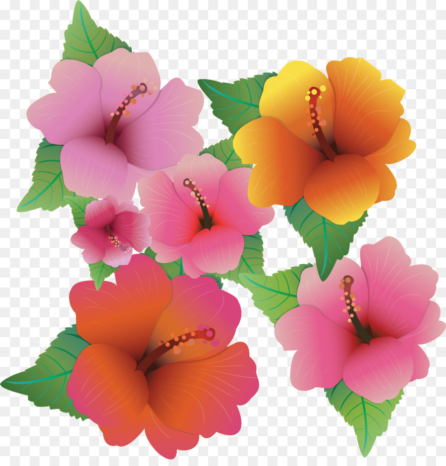 Rosemallows，Flor PNG