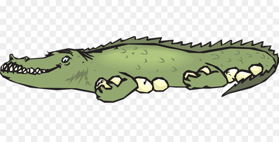 Caimanes，Cocodrilo PNG