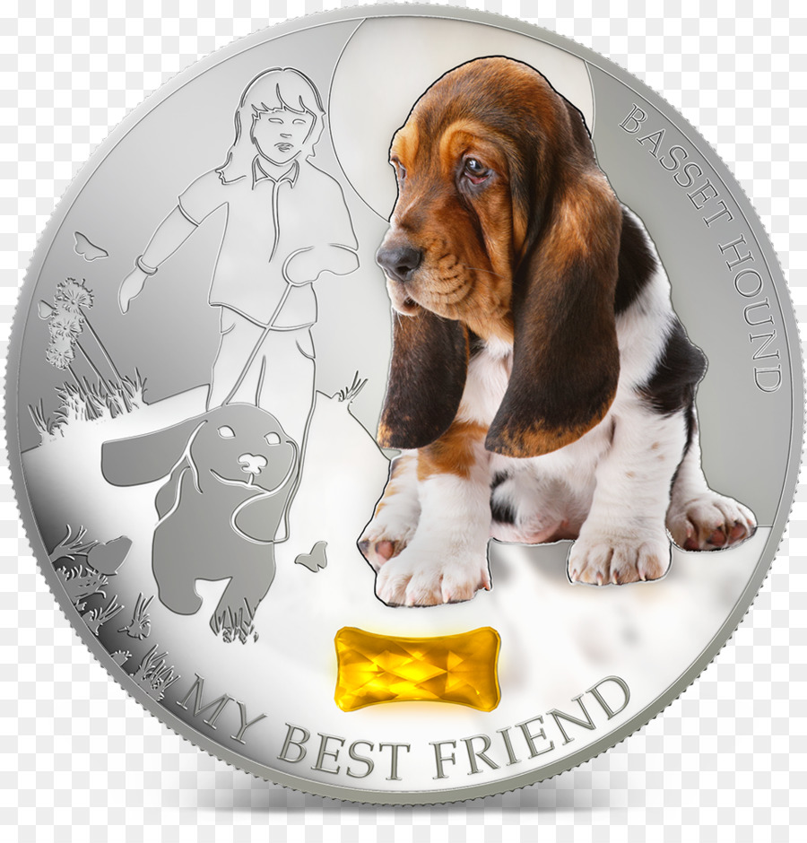 Basset Hound，Treeing Walker Coonhound PNG