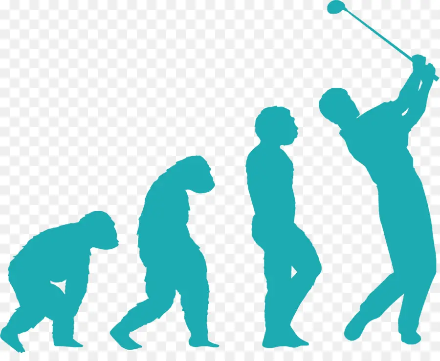 Golf Evolución，Evolución PNG