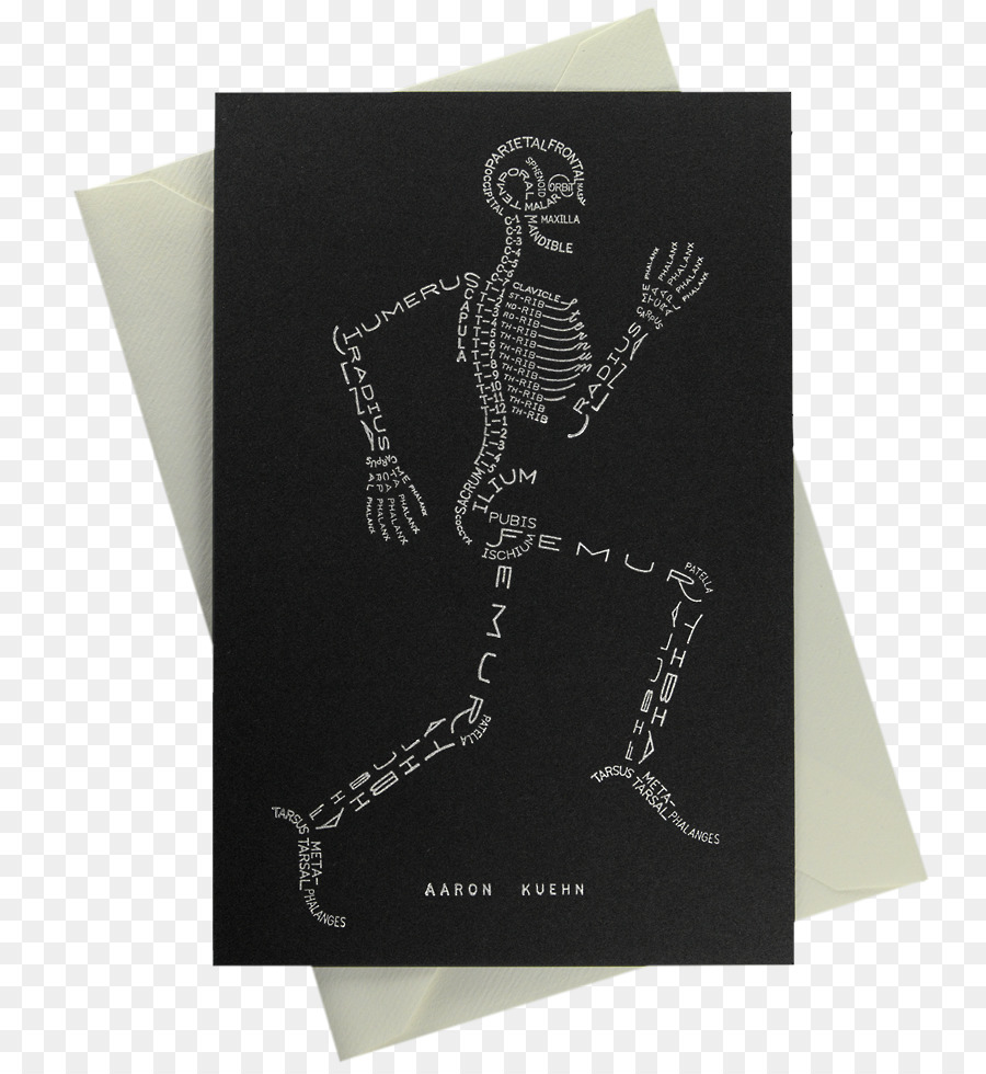 Esqueleto Humano，Cuerpo Humano PNG