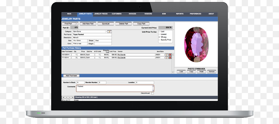 Programa De Computadora，Joyería PNG