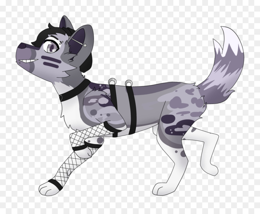 Gato，Perro PNG