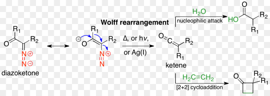 Reorganización De Wolff，Reacción De Reordenamiento PNG