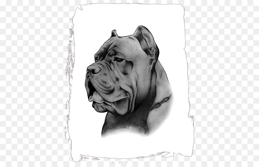 Caña Corso，Pit Bull PNG