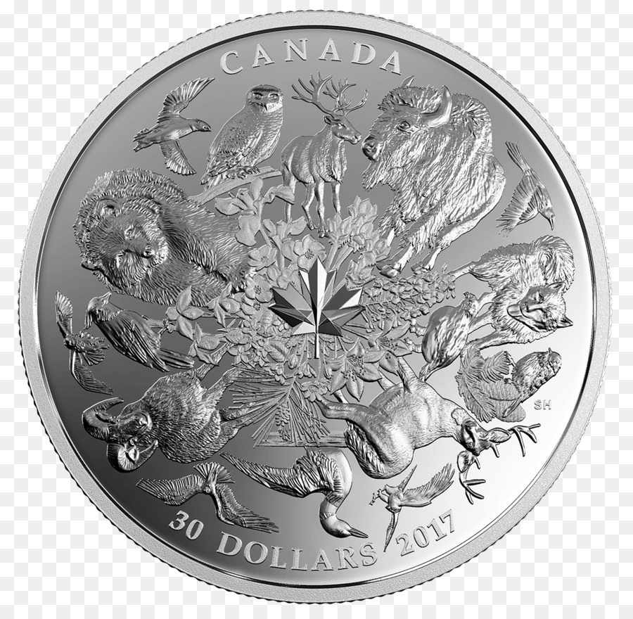 Moneda，Canadá PNG