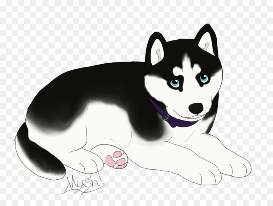 Perro Esquimal De Dibujos Animados，Perro PNG