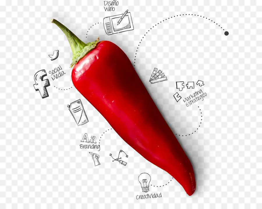 Pimienta Serrano，Pimienta De Tabasco PNG