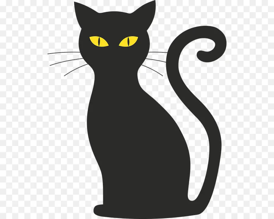 Gato Negro，Gato PNG