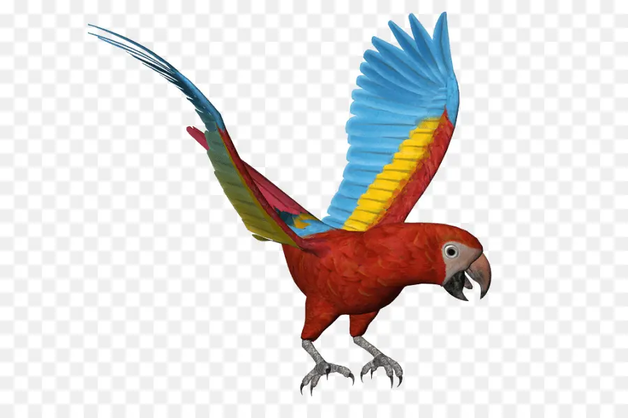 Fénix，Pájaro Mítico PNG