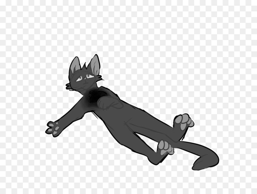 Gato，Perro PNG