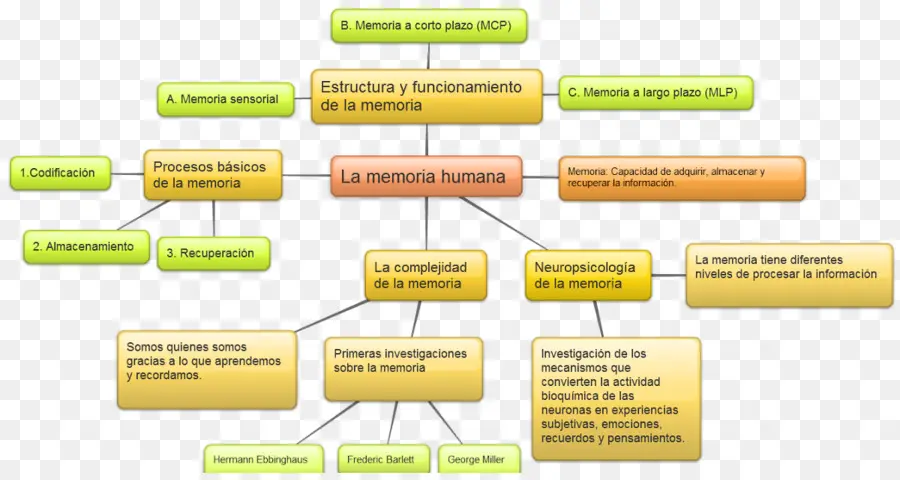 Mapa Mental，Conceptos PNG