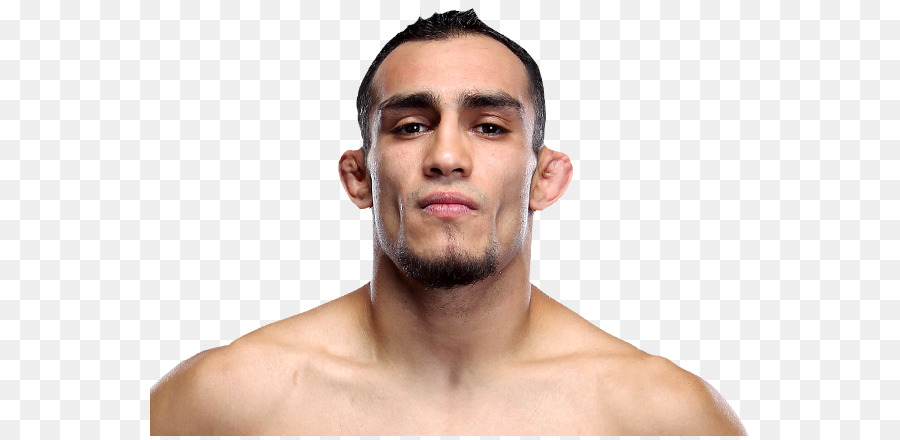 Tony Ferguson，Ufc 223 PNG