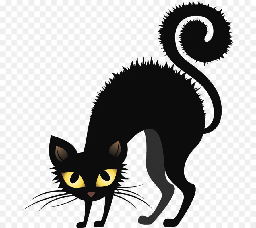 Gato，Gato Negro PNG