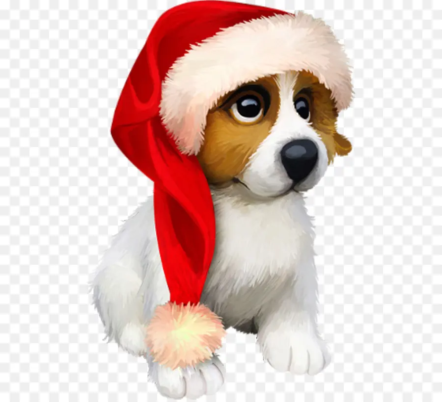 Lindo Perro，Gorro De Papá Noel PNG