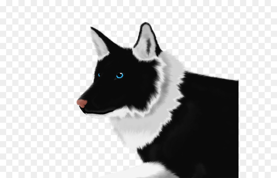 Perro Blanco Y Negro，Mascota PNG