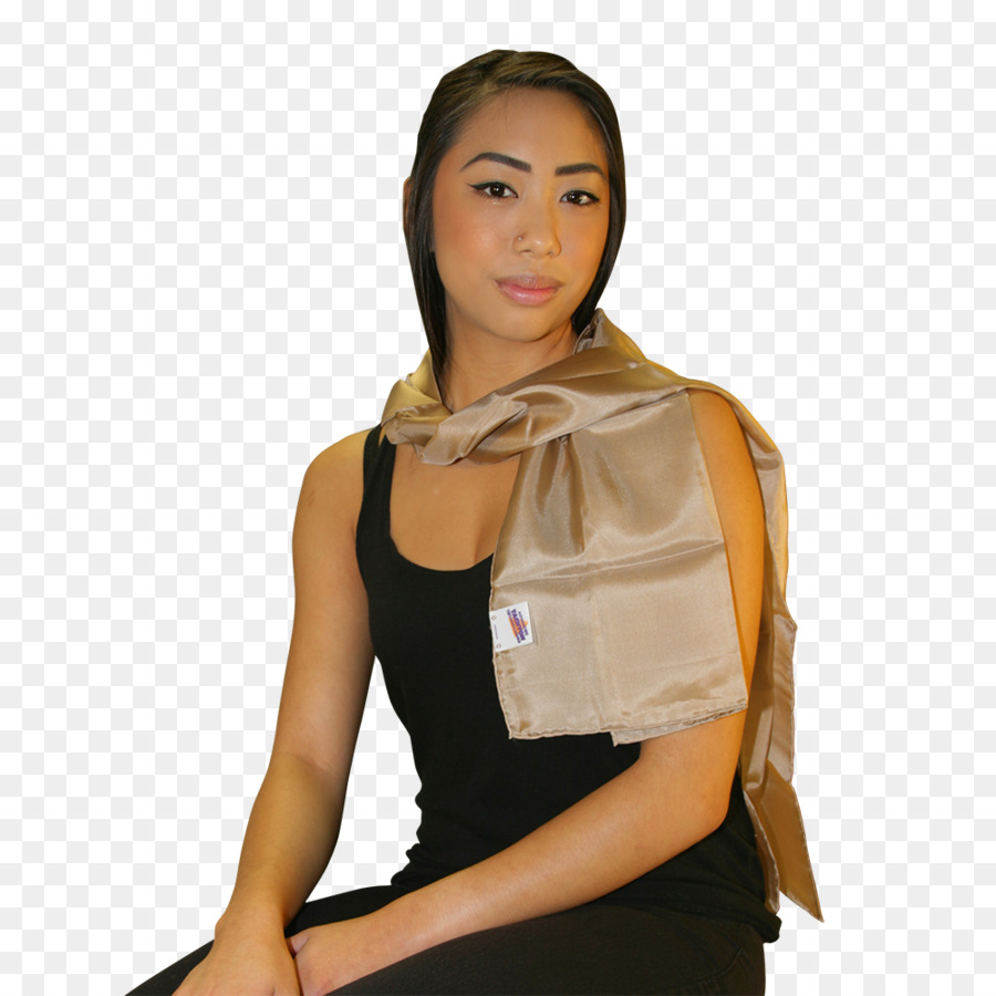 Bolso，Hombro PNG