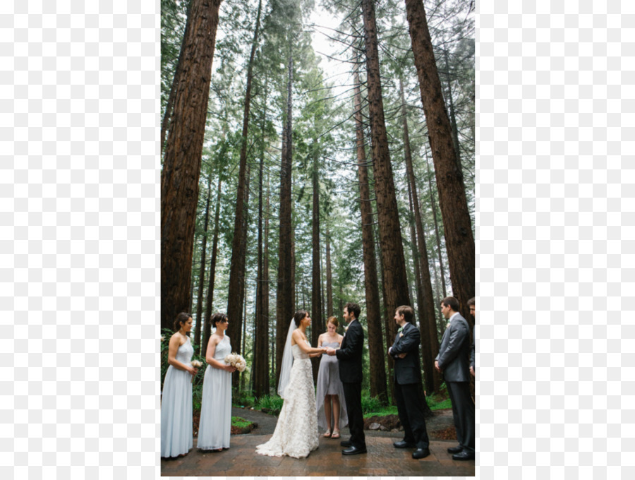 Vestido De Novia，Boda PNG