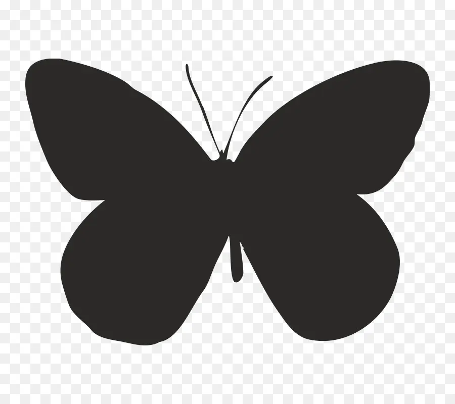 Mariposas Con Pincel，Polilla PNG