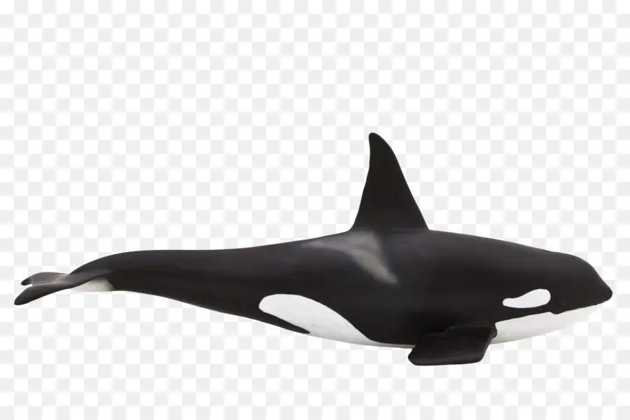 Juguete，Orca PNG