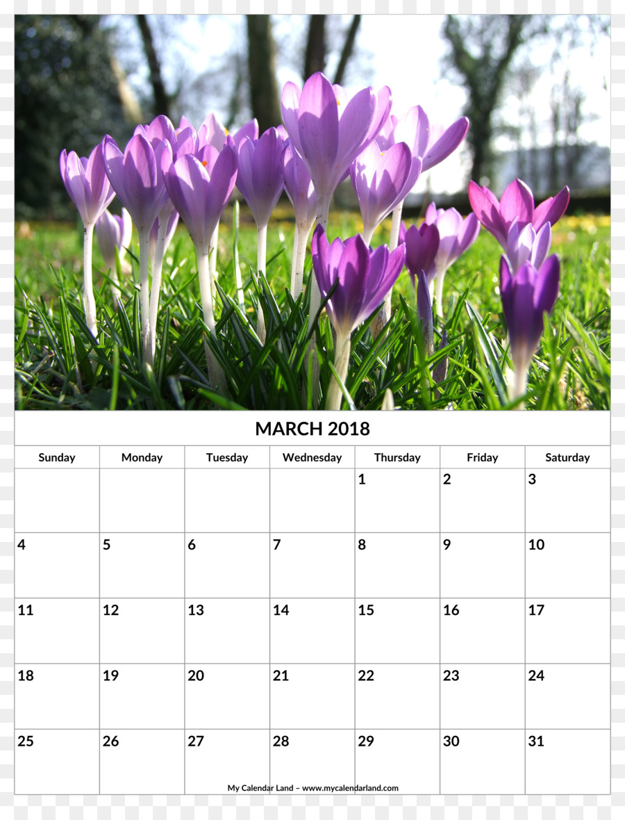 Calendario，Primavera PNG