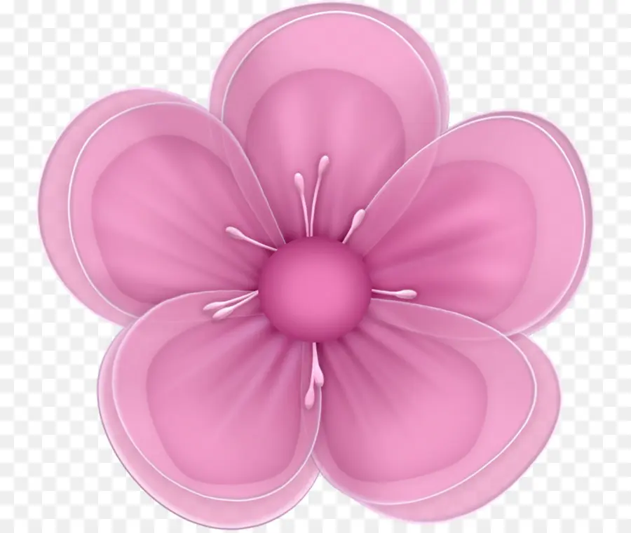 Flor Rosa，Flor PNG