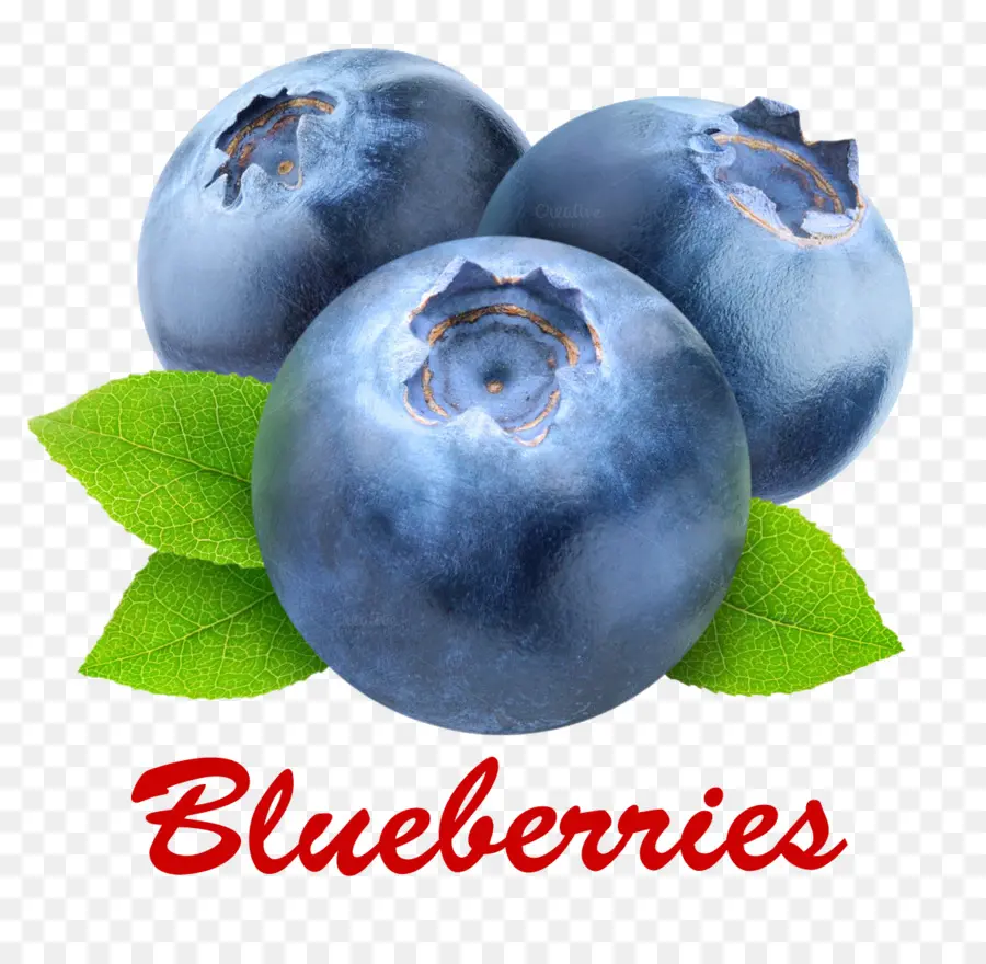 Arándanos，Fruta PNG