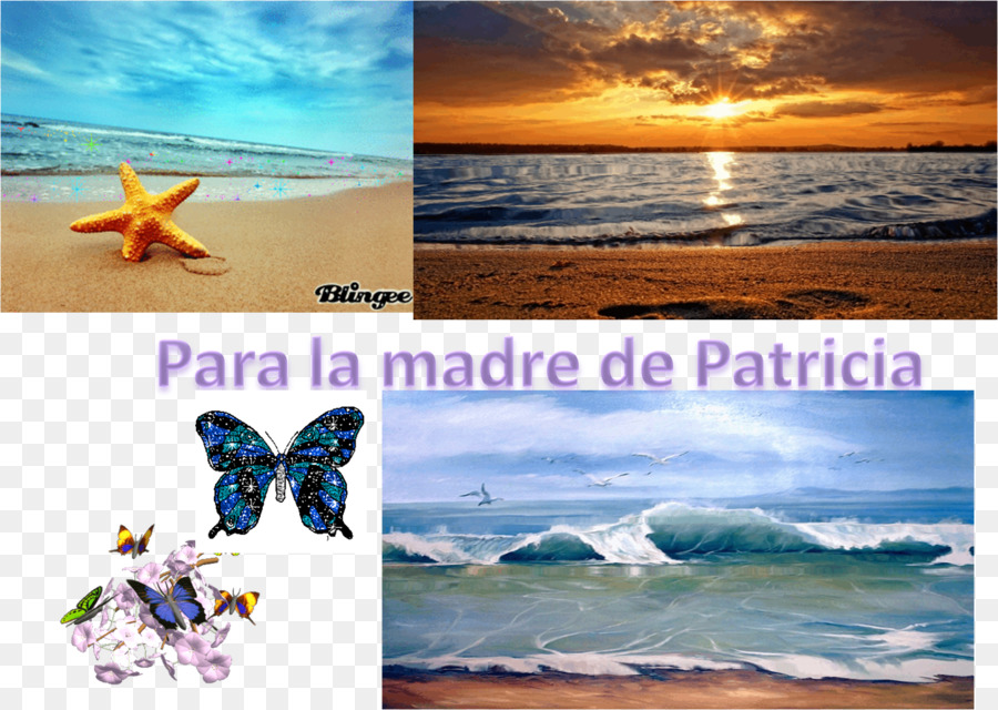 Publicidad，Vacaciones PNG